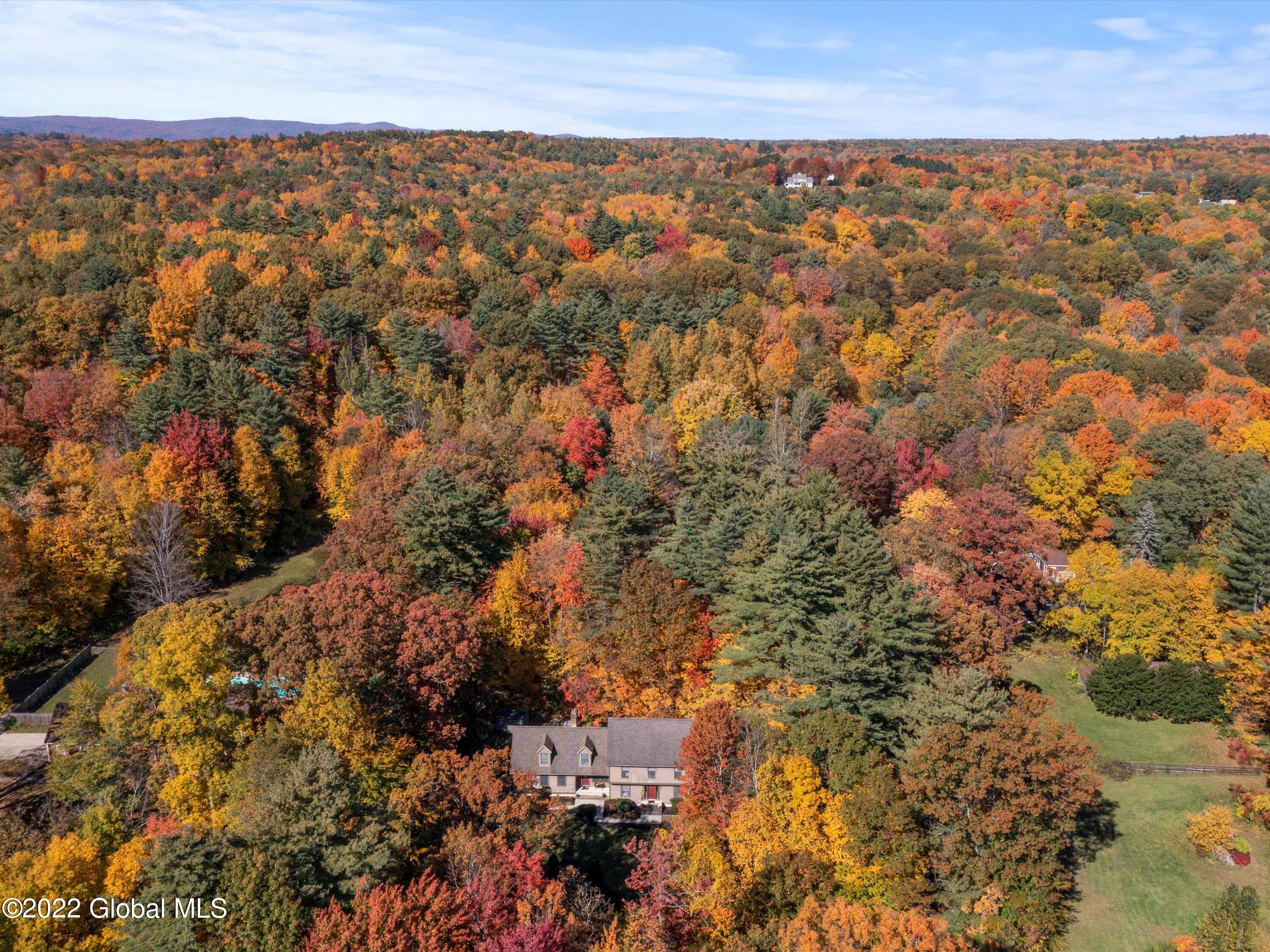 325 Daniels Road Greenfield, NY 12866 - Photo 41 of 41 06-DJI_0829
