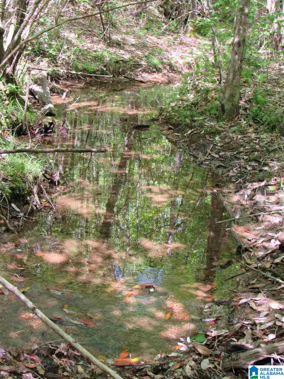 0 County Road 895, Unit 17 ACRES Lineville, AL 36266 - Photo 17 of 30