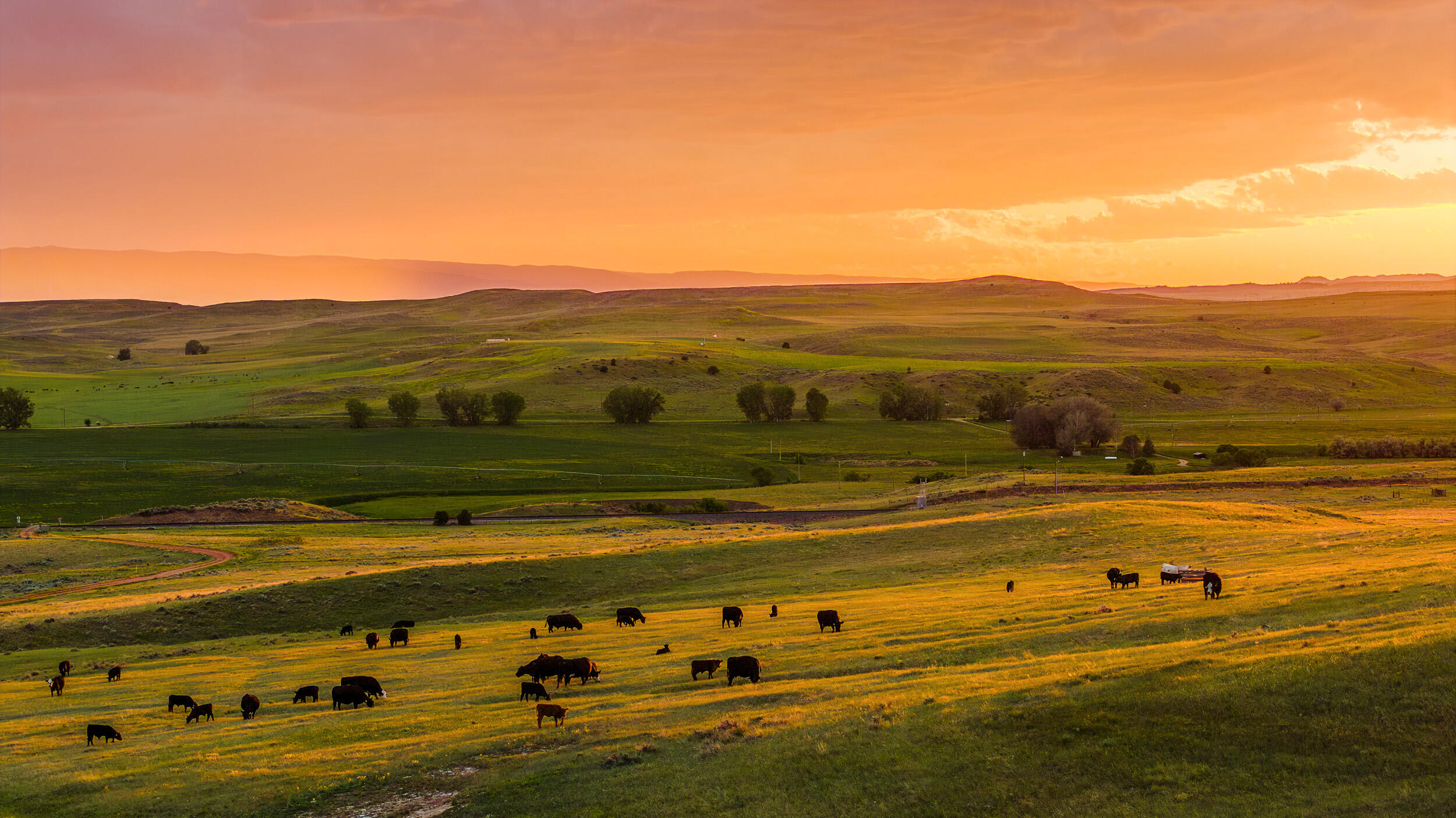 593 Lower Prairie Dog Road Sheridan, WY 82801 - Photo 168 of 182 593 lpd sunset 30