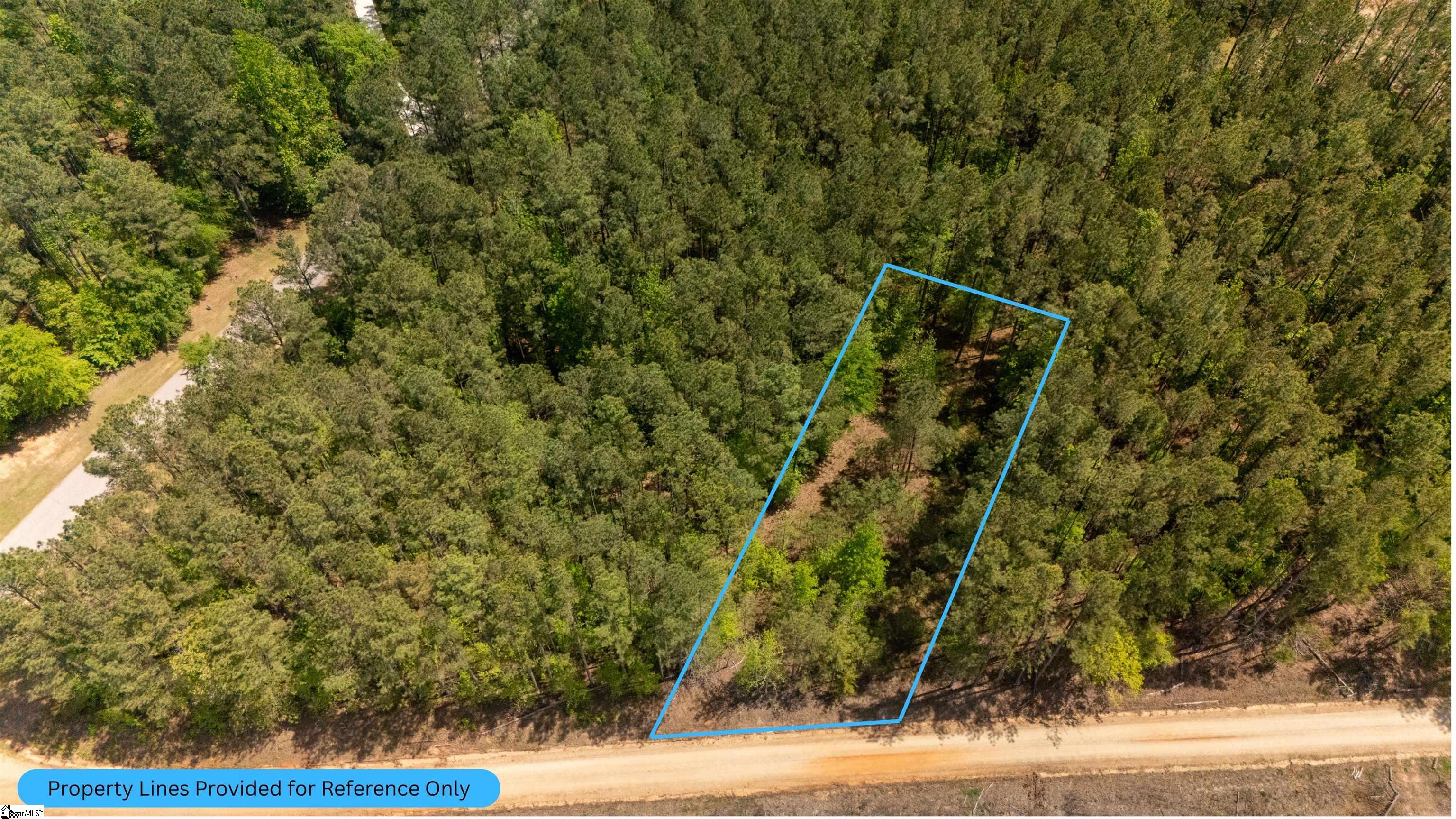 0 Pineland Road Chappells, SC 29037 - Photo 14 of 14