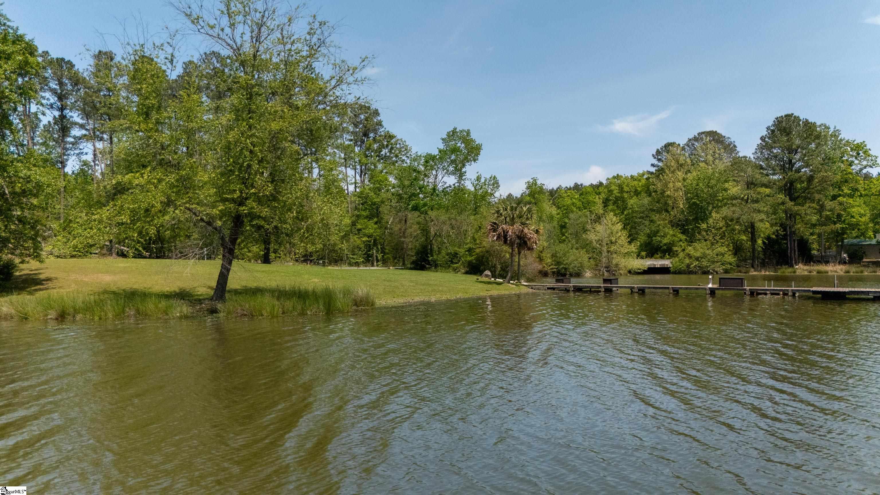 0 Pineland Road Chappells, SC 29037 - Photo 9 of 14