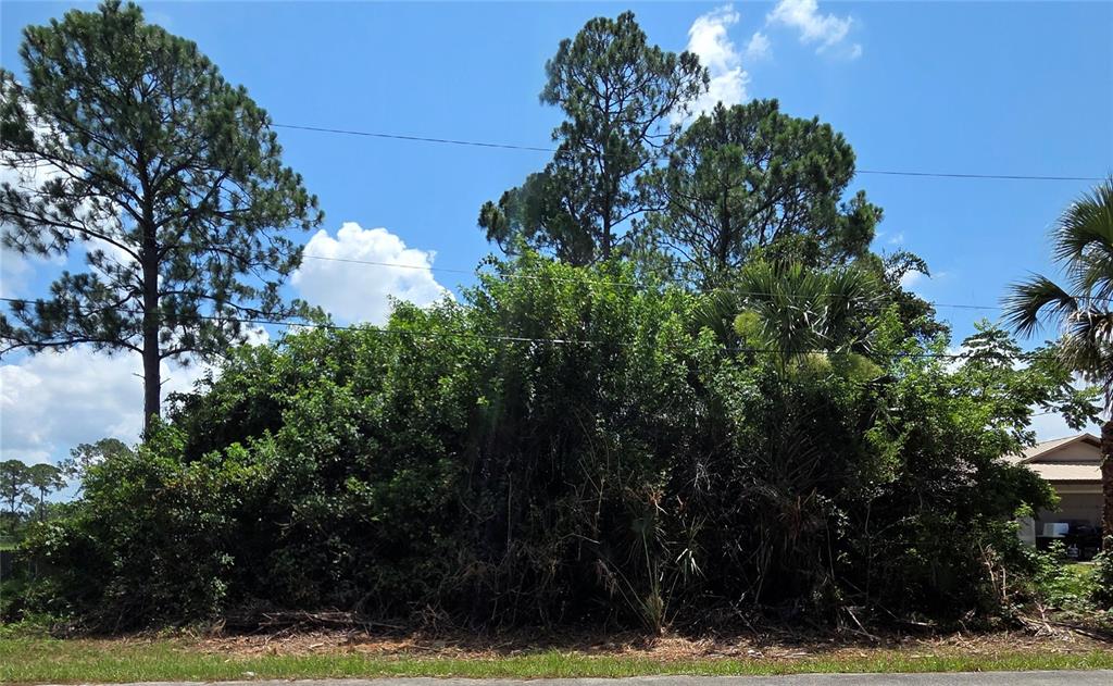 Tbd Tejon Avenue Southwest Palm Bay, FL 32908 - Photo 2 of 3 a view of a outdoor space