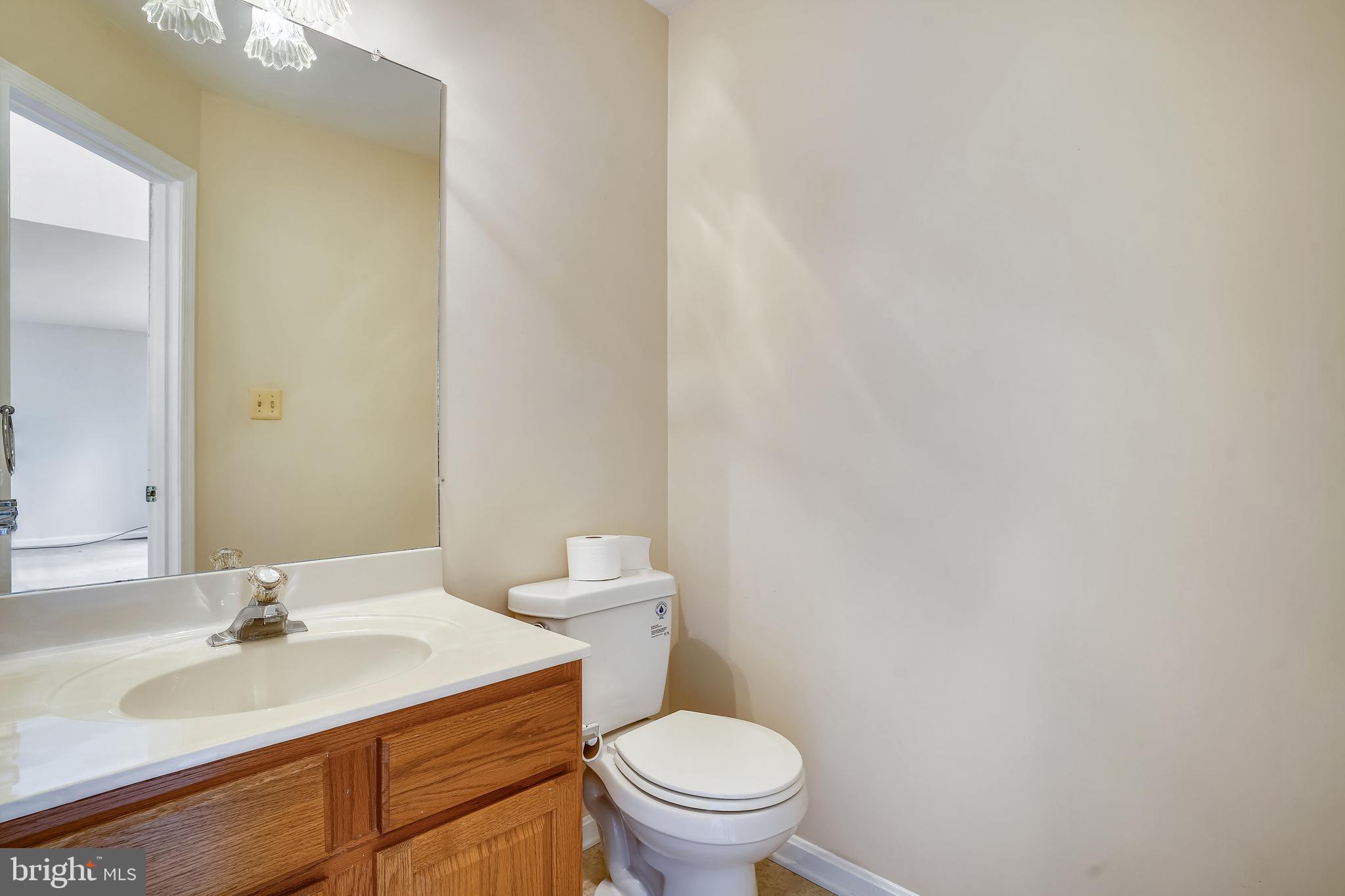 16312 Quail Ridge Drive Rixeyville, VA 22737 - Photo 16 of 52 Powder Room