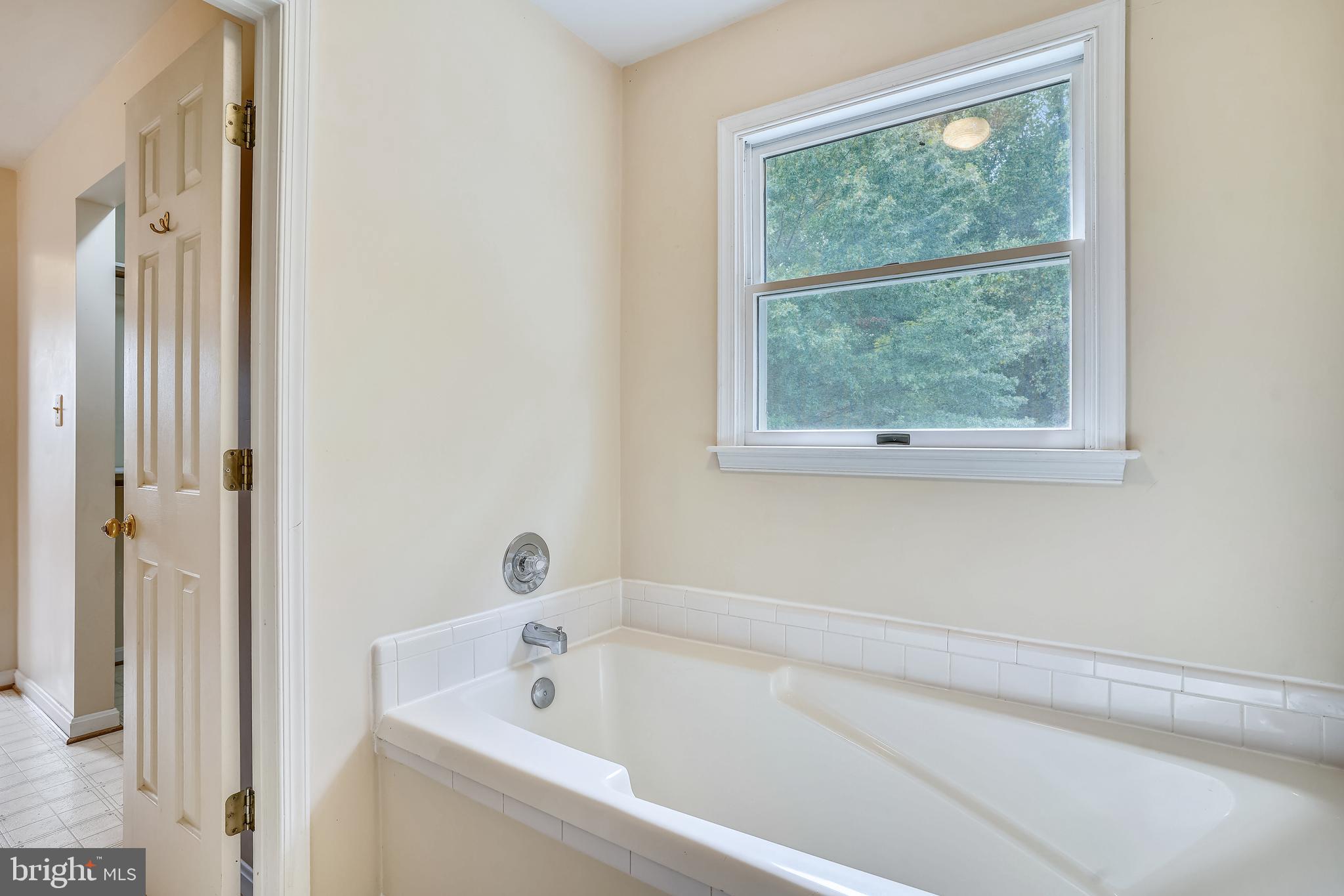 16312 Quail Ridge Drive Rixeyville, VA 22737 - Photo 22 of 52 Primary Bath