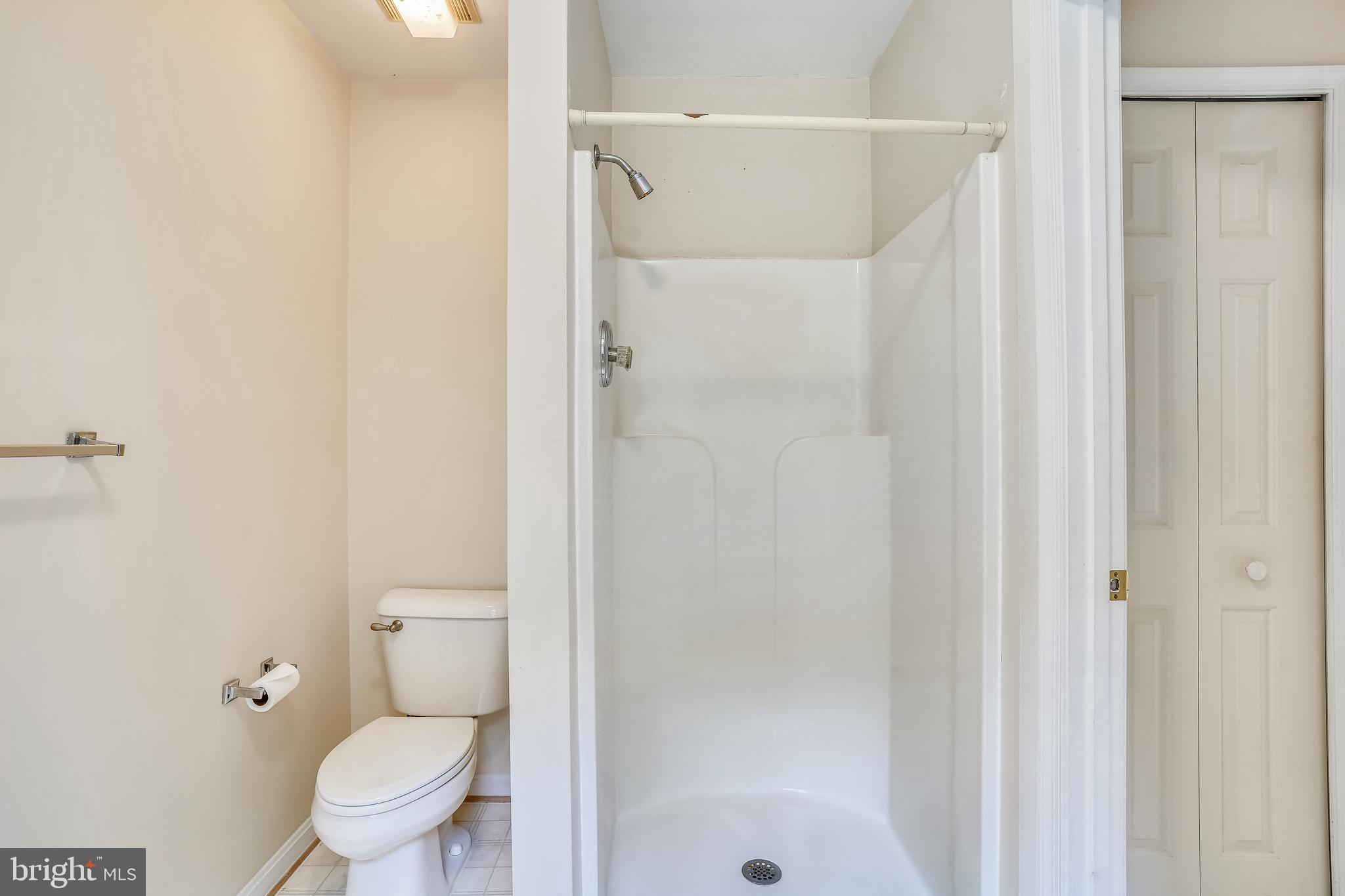 16312 Quail Ridge Drive Rixeyville, VA 22737 - Photo 29 of 52 Primary Bath shower