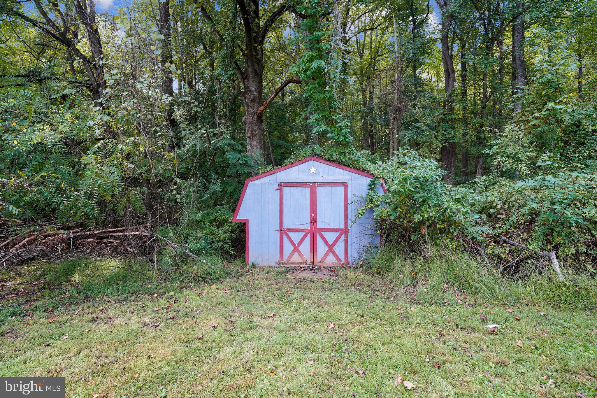16312 Quail Ridge Drive Rixeyville, VA 22737 - Photo 39 of 52 Shed