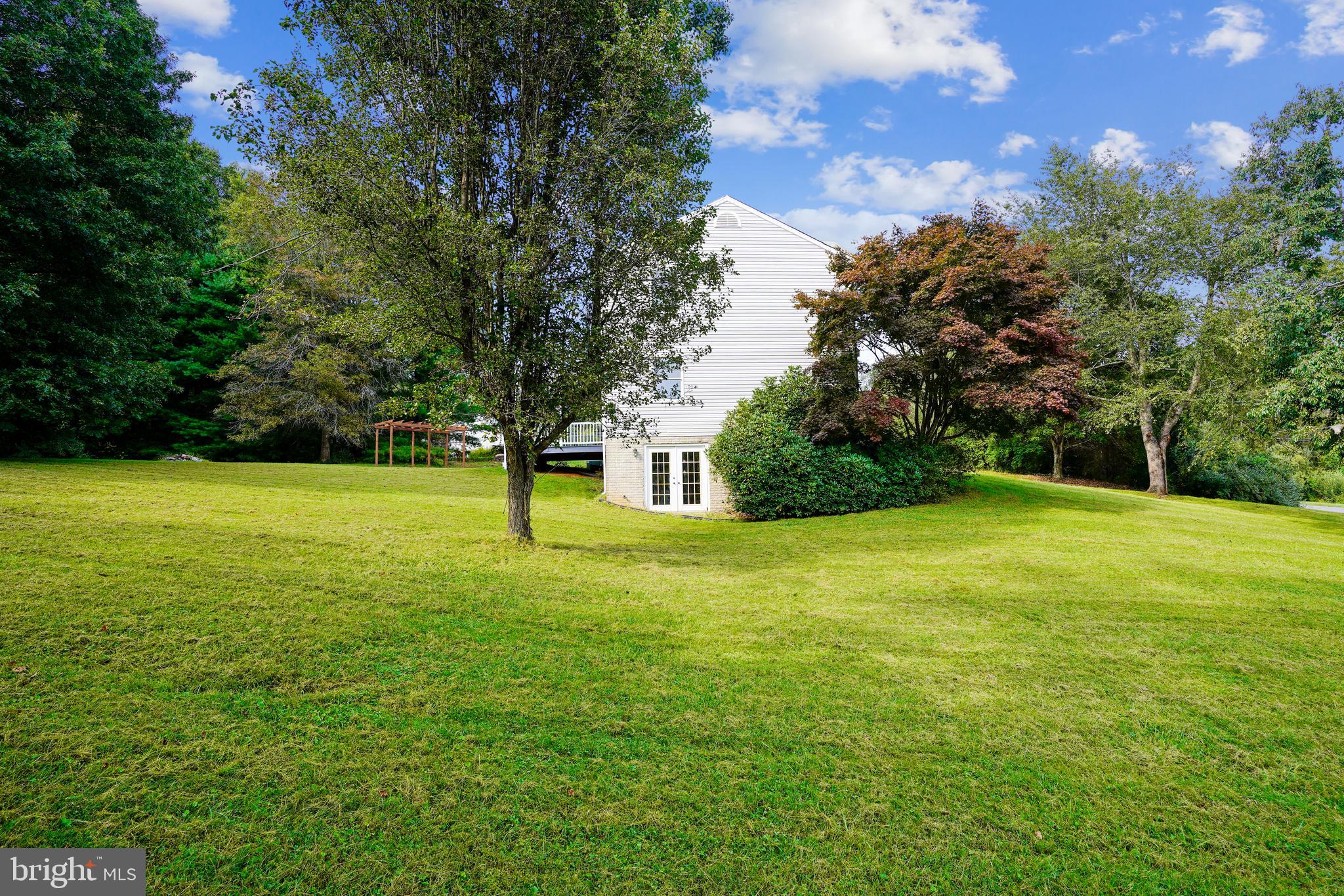 16312 Quail Ridge Drive Rixeyville, VA 22737 - Photo 40 of 52 Side Yard Walk out from basement