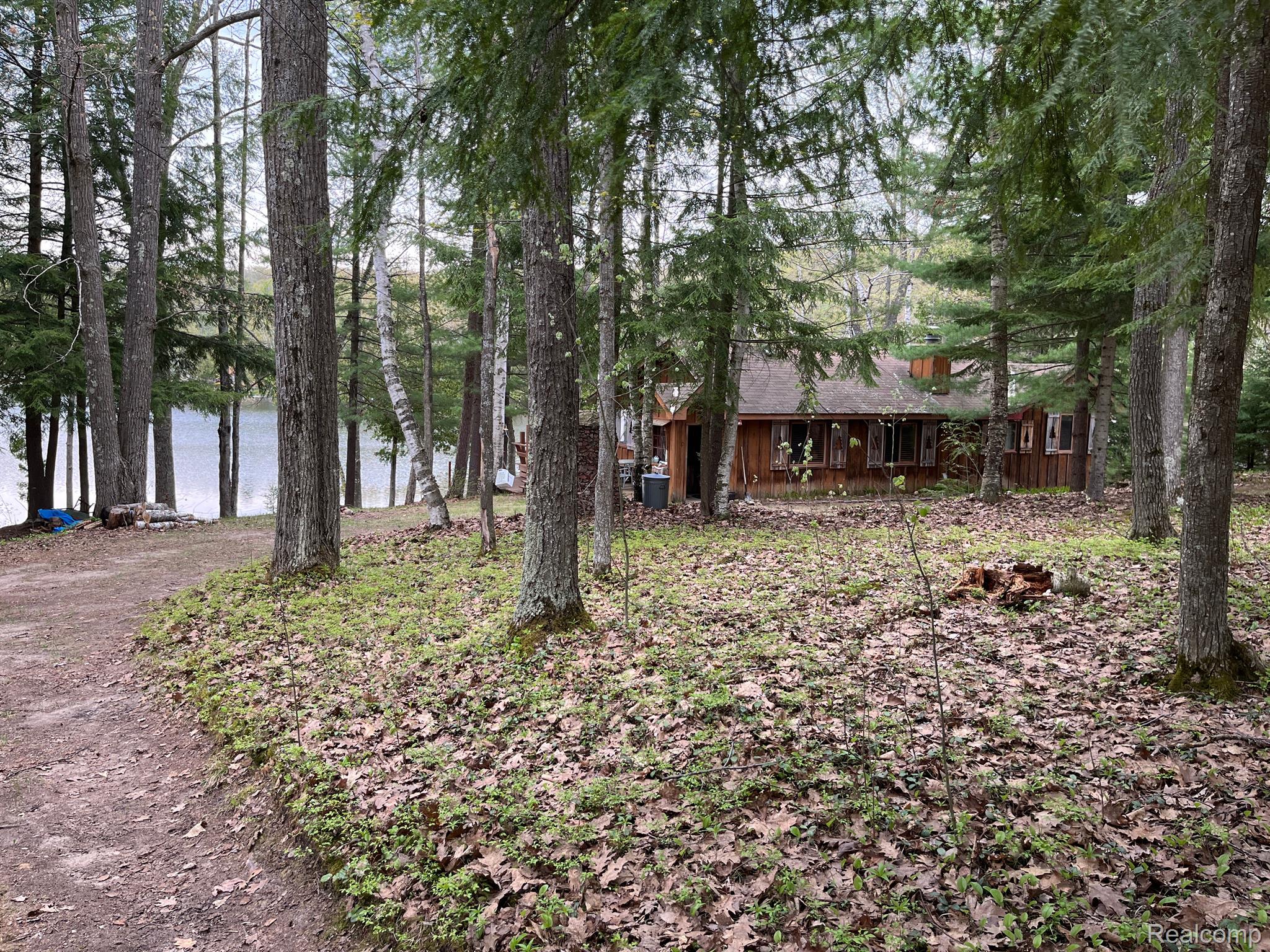 306 Dyer Road Rose City, MI 48654 - Photo 17 of 70 Gallery Image 17