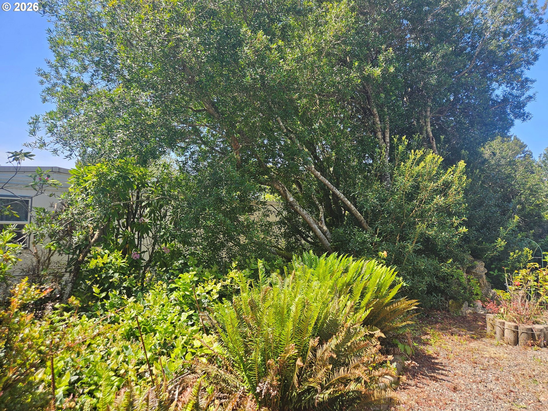 1600 Rhododendron Drive, Unit 214 Florence, OR 97439 - Photo 32 of 38 a view of a garden with plants