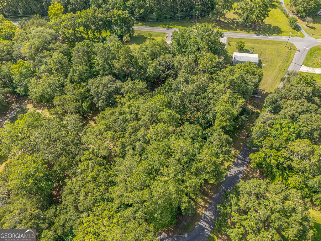 173 Fish Hall Road Brunswick, GA 31523 - Photo 45 of 52