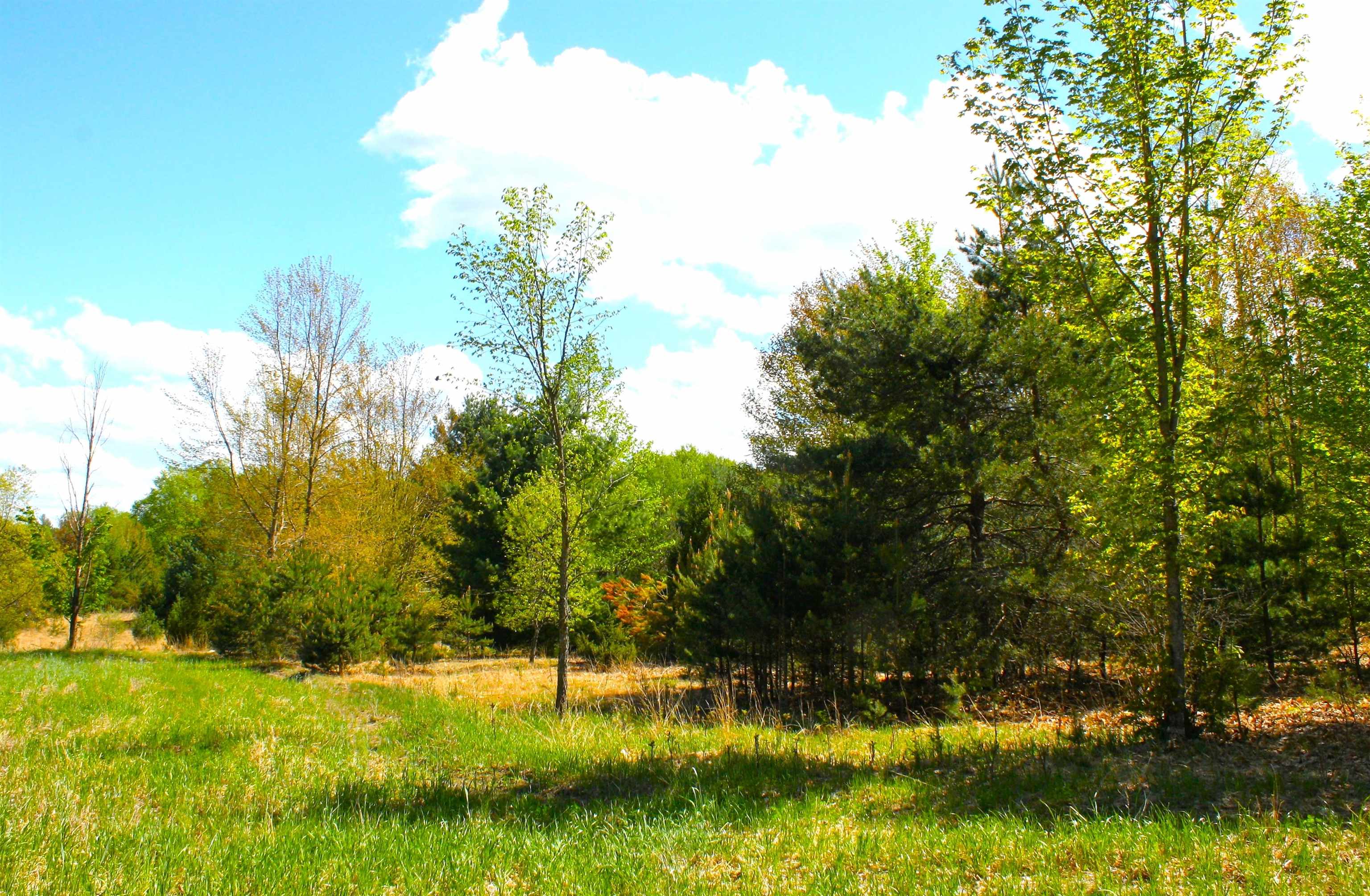 5560 Cool Road Southeast Kalkaska, MI 49646 - Photo 27 of 39 1899924-26.JPG