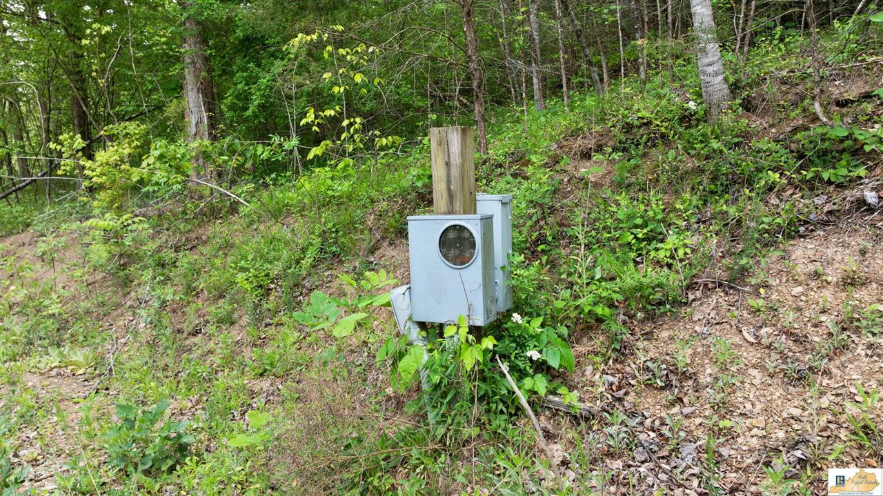 110 Crocus View Road Glens Fork, KY 42741 - Photo 64 of 75 Gallery Image 64