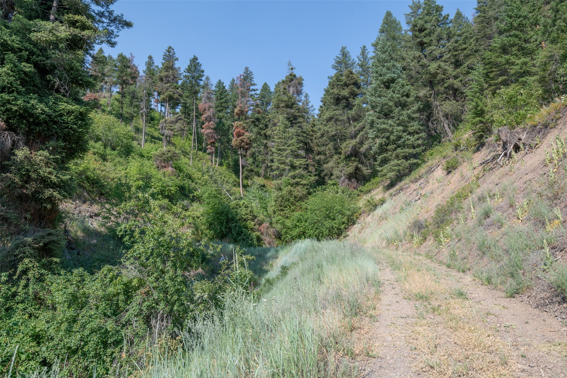 18866 Copper Rdg Trail Florence, MT 59833 - Photo 112 of 139 Gallery Image 112