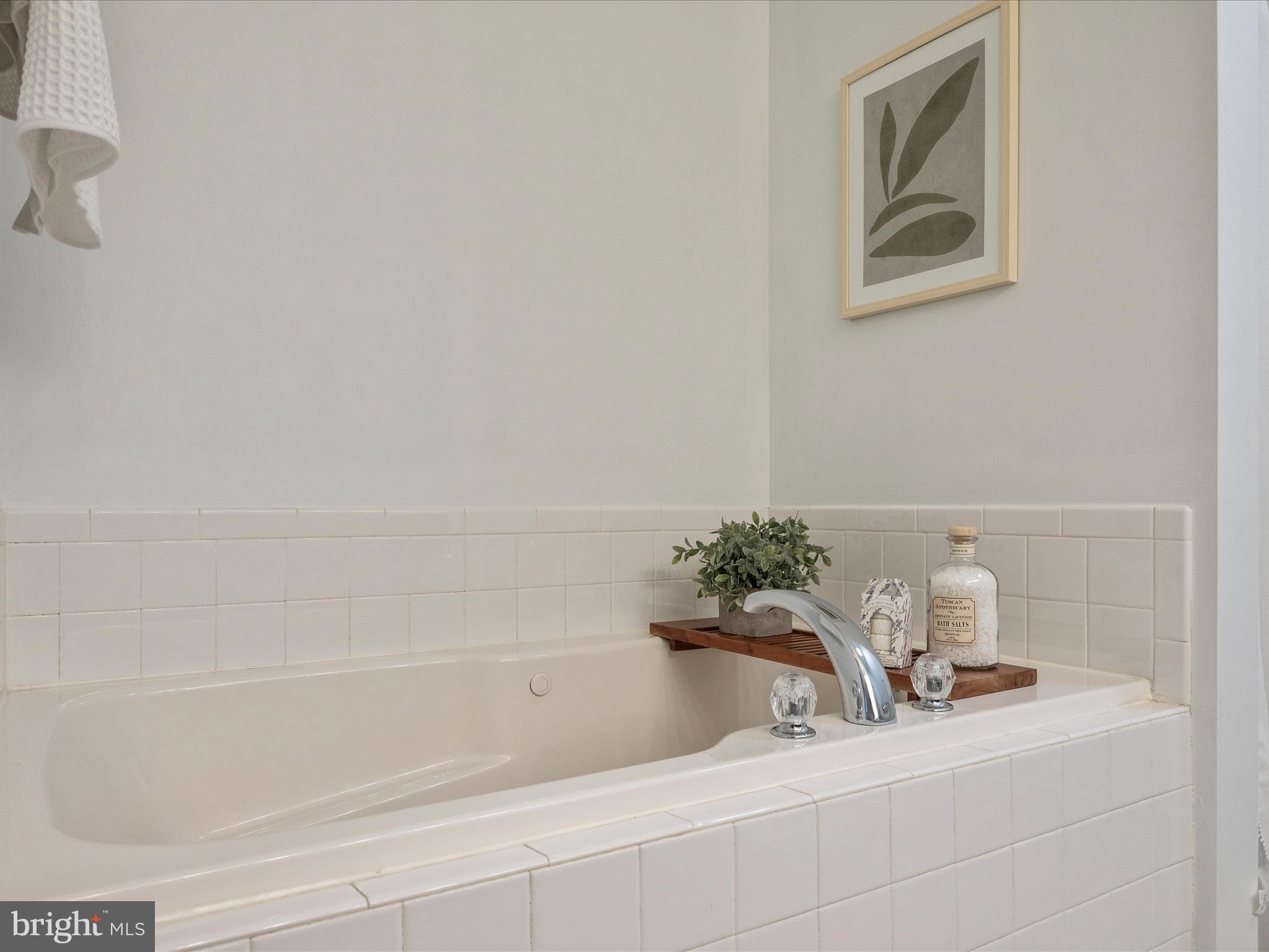 37 Salt Lick Road Front Royal, VA 22630 - Photo 21 of 41 Primary Bathroom