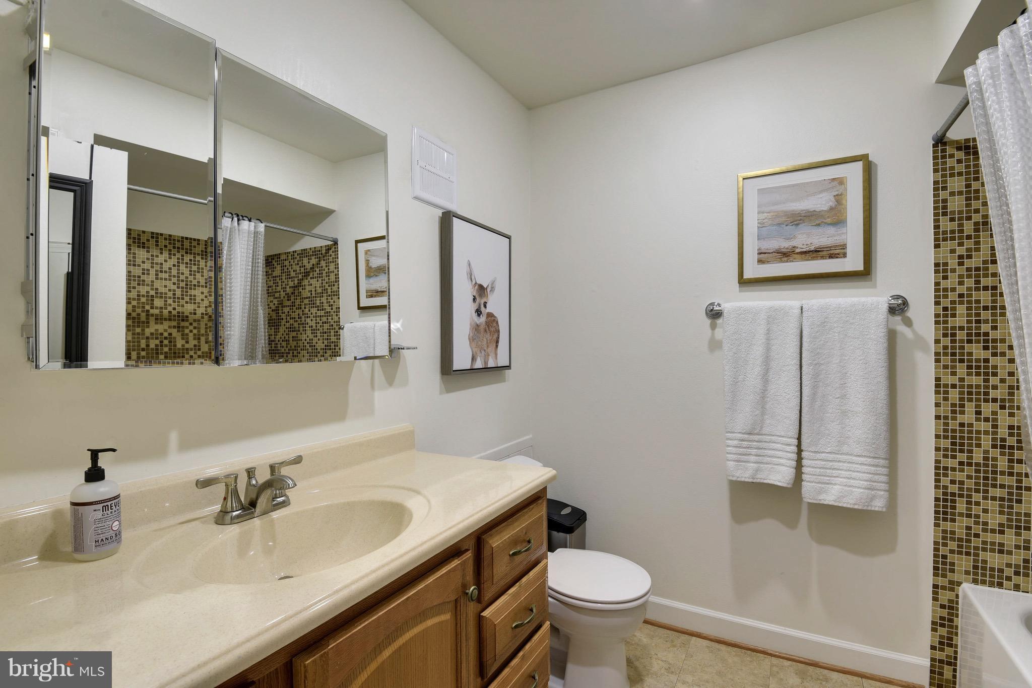 5905 Bayshire Road, Unit 180 Springfield, VA 22152 - Photo 24 of 30 Bath (Master)
