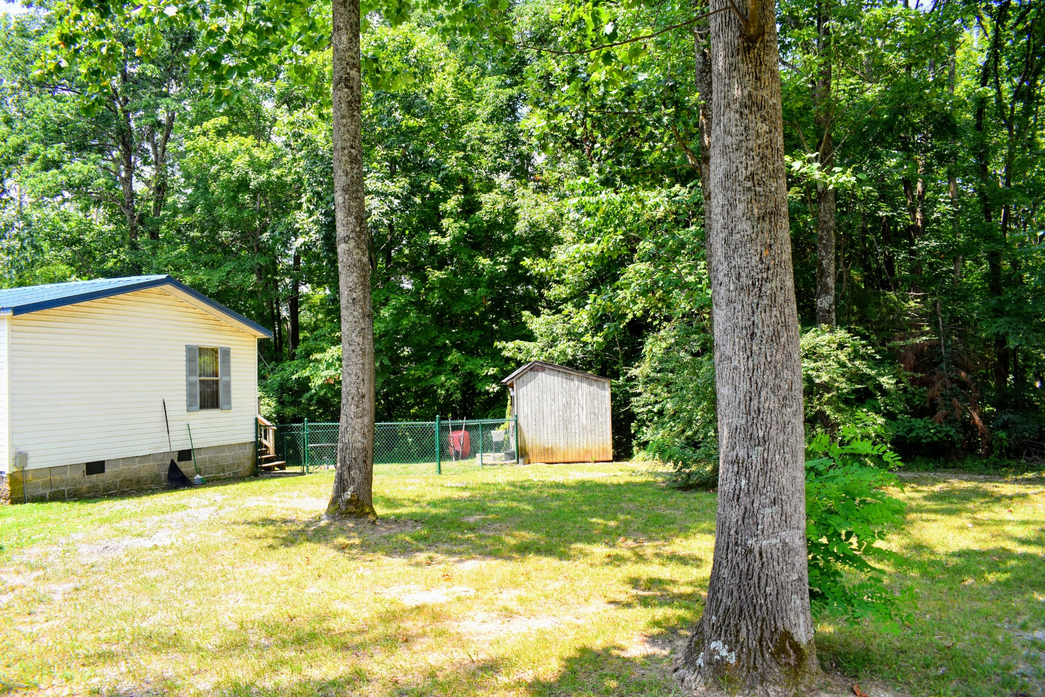 2630 Jernigans Branch Road Beechgrove, TN 37018 - Photo 2 of 17 a view of a house with backyard and tree