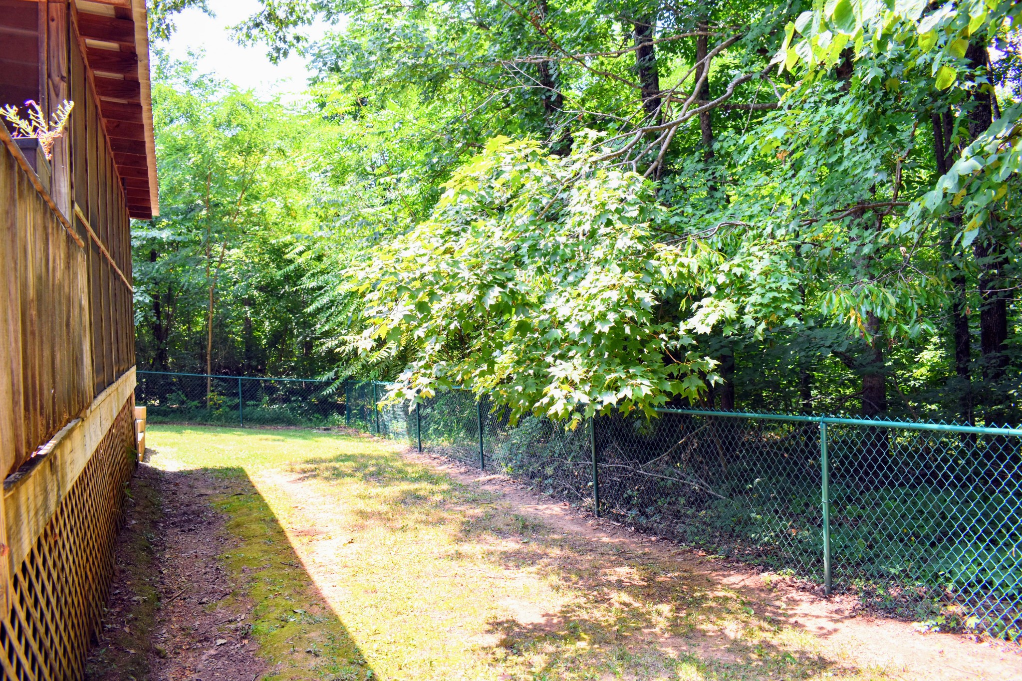 2630 Jernigans Branch Road Beechgrove, TN 37018 - Photo 14 of 17 a view of small yard