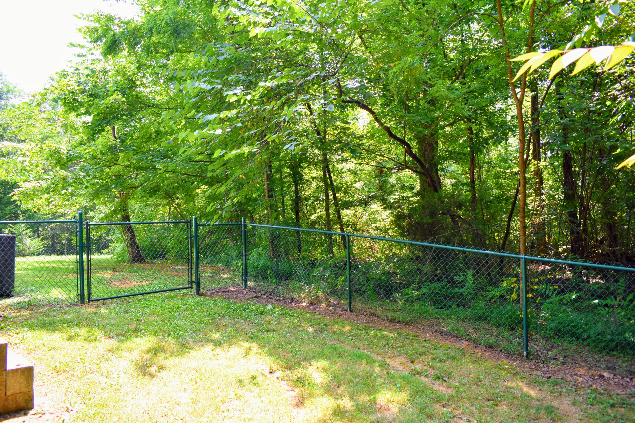 2630 Jernigans Branch Road Beechgrove, TN 37018 - Photo 16 of 17 a view of a yard with a tree