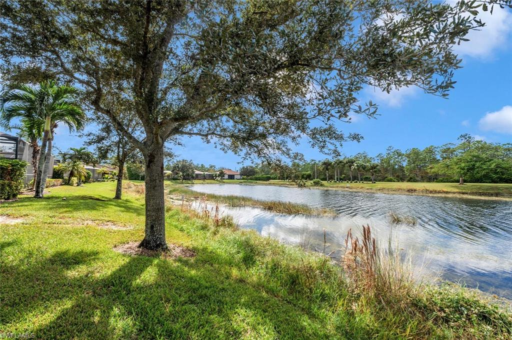 7975 Princeton Drive Naples, FL 34104 - Photo 3 of 28 a view of lake with a tree