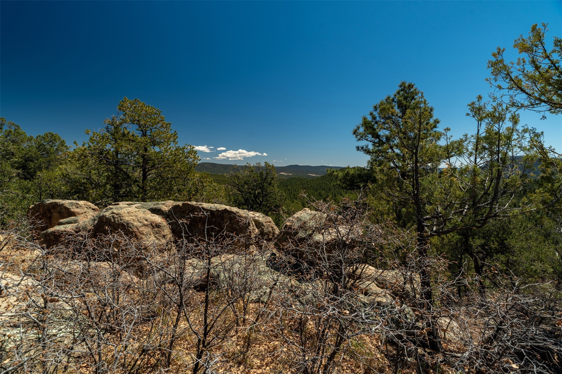 30 Monte La Cueva Road Glorieta, NM 87535 - Photo 64 of 91