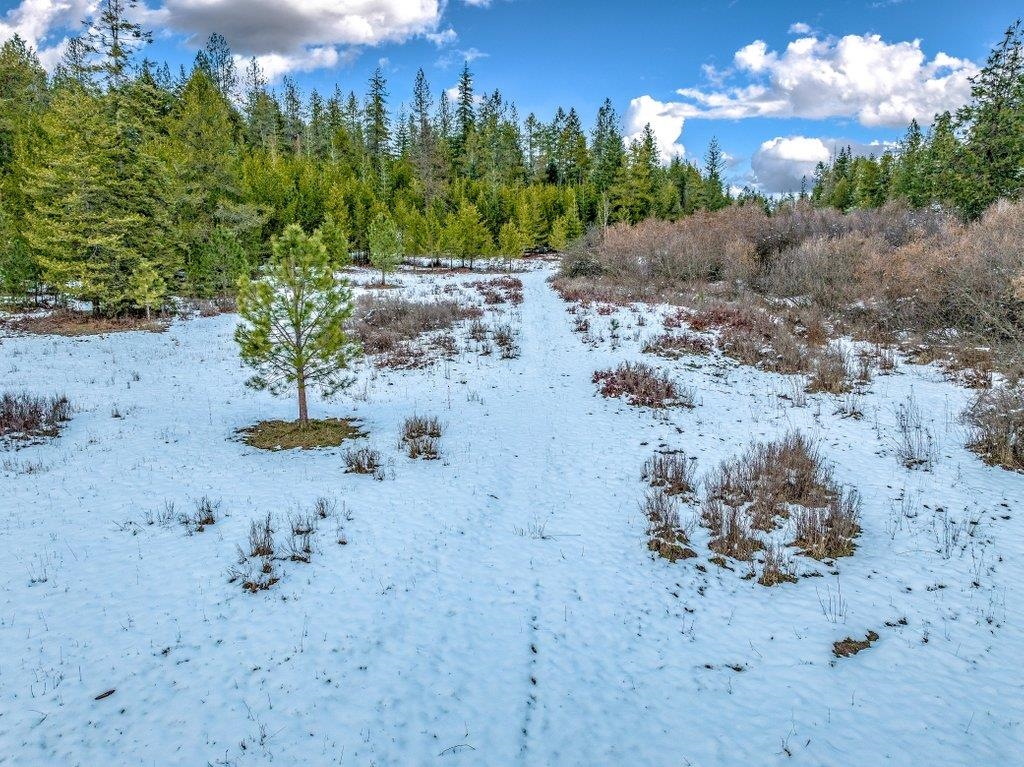 Nna West Bridges Road Deer Park, WA 99006 - Photo 19 of 27