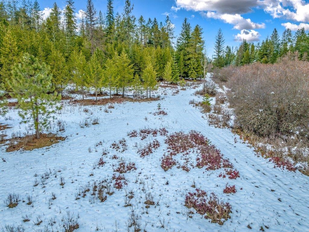 Nna West Bridges Road Deer Park, WA 99006 - Photo 21 of 27