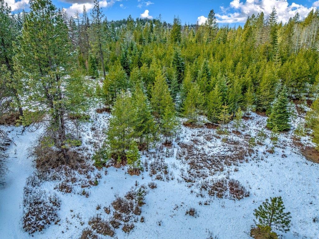 Nna West Bridges Road Deer Park, WA 99006 - Photo 23 of 27