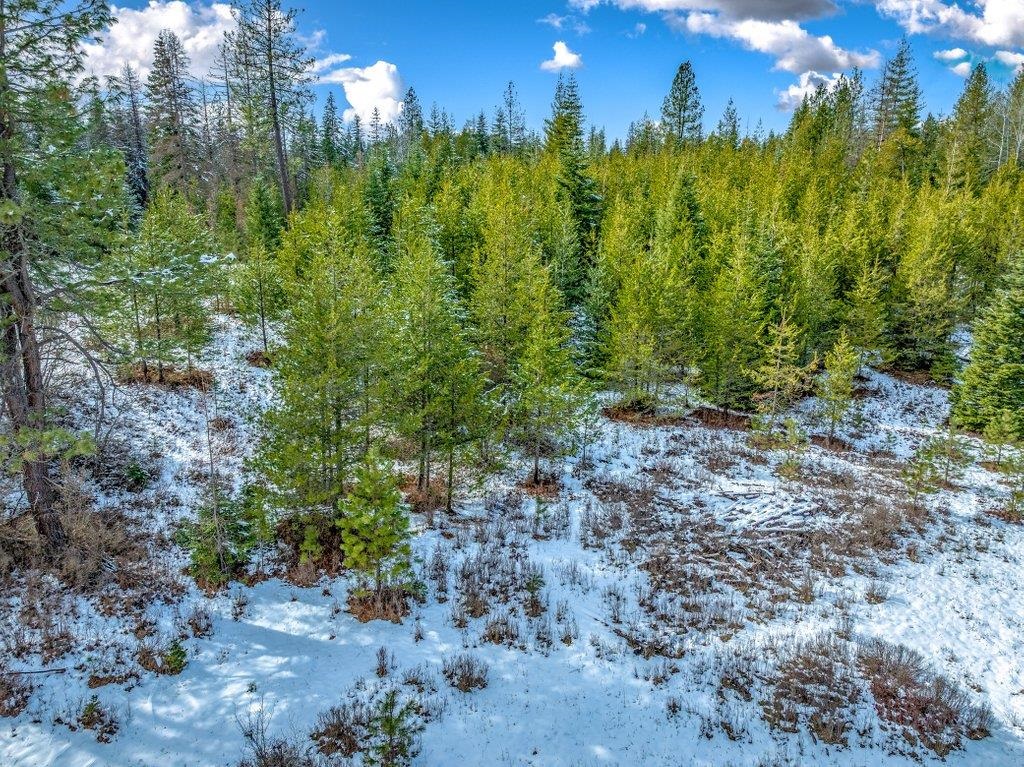 Nna West Bridges Road Deer Park, WA 99006 - Photo 24 of 27