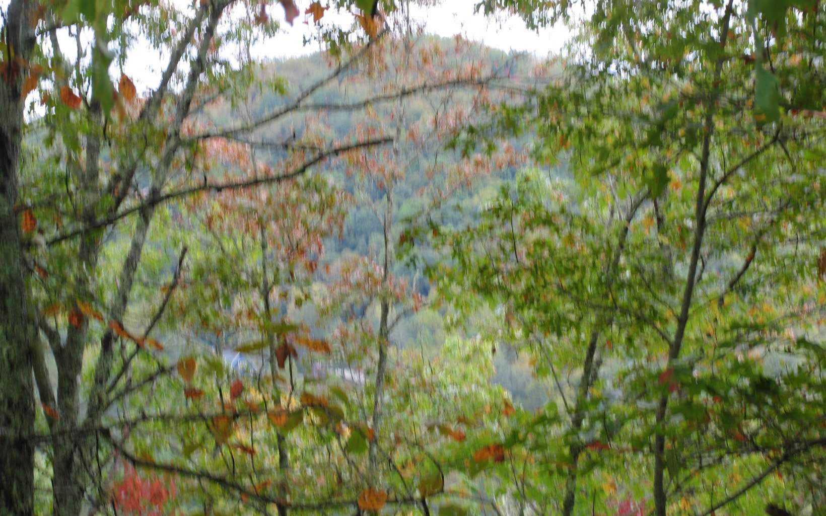 0 Layson Rd/ridgecrest Hiawassee, GA 30546 - Photo 4 of 7 Additional View
