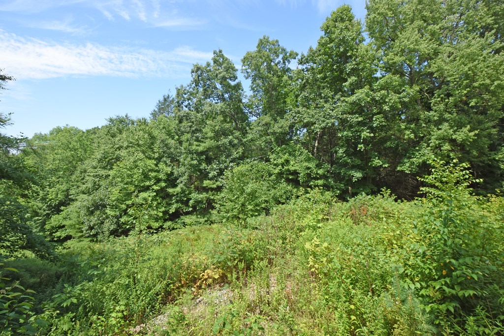 0 Sturbridge Road Holland, MA 01521 - Photo 2 of 4 a view of a garden