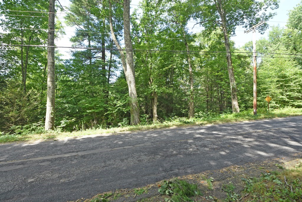 0 Sturbridge Road Holland, MA 01521 - Photo 3 of 4 a view of a yard with large trees