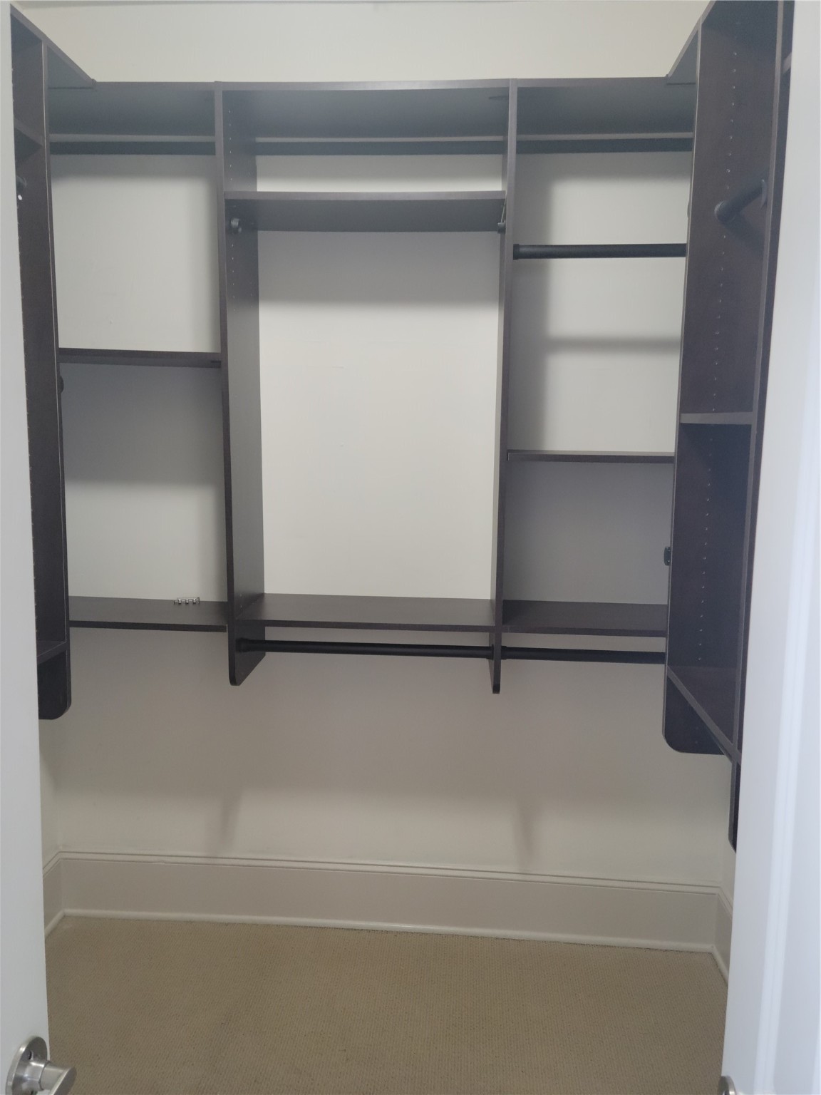 703 St Charles Street Houston, TX 77003 - Photo 16 of 24 a view of walk in closet with empty racks