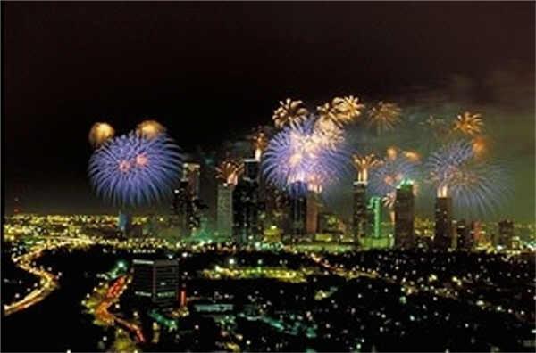 703 St Charles Street Houston, TX 77003 - Photo 24 of 24 a view of a bunch of flowers and trees
