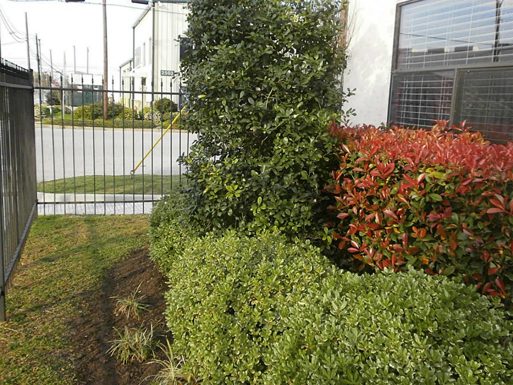 703 St Charles Street Houston, TX 77003 - Photo 4 of 24 a view of outdoor space and garden