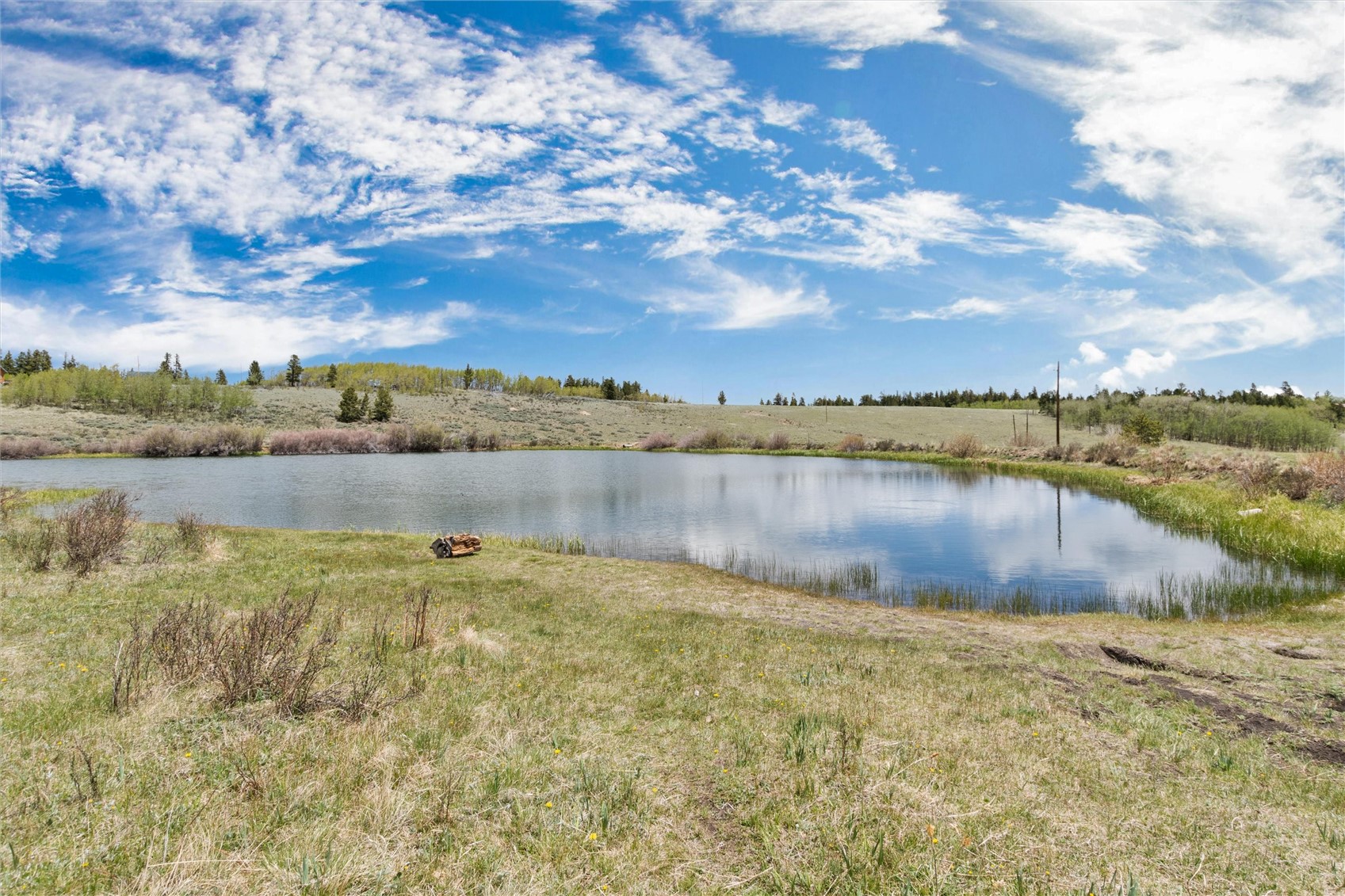 36 Wild Rye Road Fairplay, CO 80440 - Photo 47 of 50