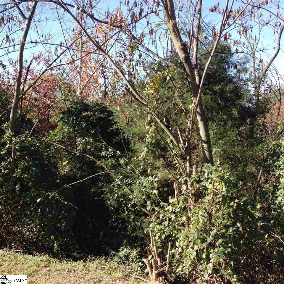 South Fairfield Road Greenville, SC 29605 - Photo 1 of 1 Gallery Image 1