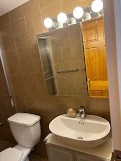 a bathroom with a sink a toilet and mirror