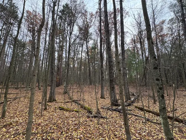 $399,000 | 4335 Kings Corner Road, Glennie, MI 48737