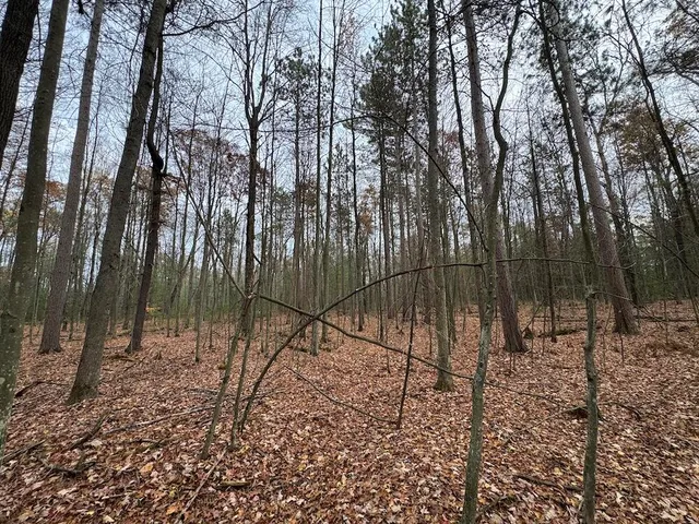 $399,000 | 4335 Kings Corner Road, Glennie, MI 48737