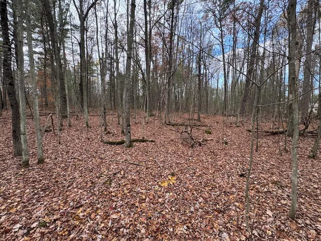 $399,000 | 4335 Kings Corner Road, Glennie, MI 48737