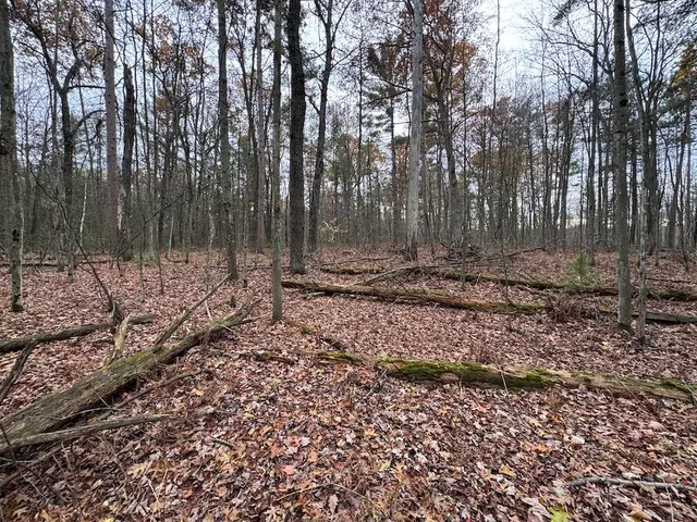 $399,000 | 4335 Kings Corner Road, Glennie, MI 48737