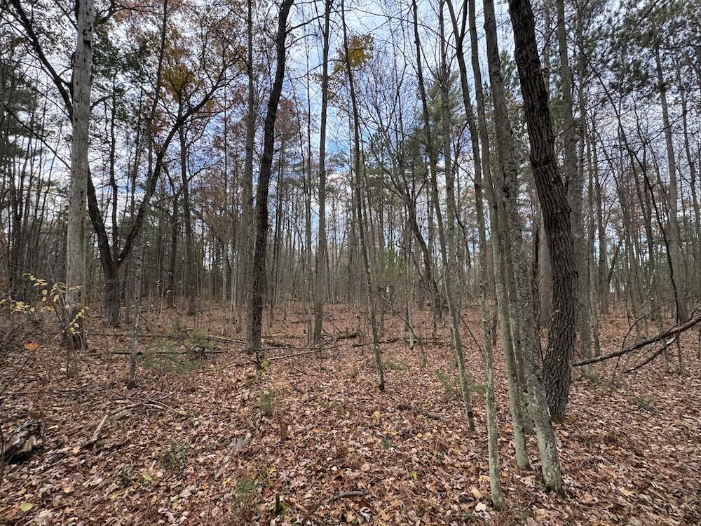 4335 Kings Corner Road Glennie, MI 48737 - Photo 23 of 78 IMG_7151