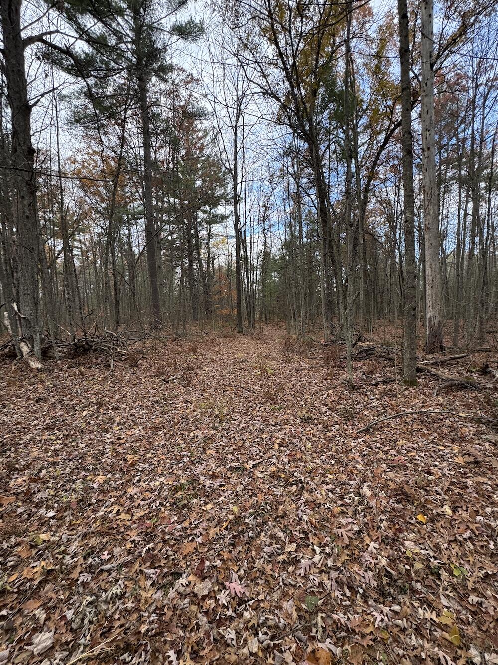 4335 Kings Corner Road Glennie, MI 48737 - Photo 24 of 78 IMG_7152