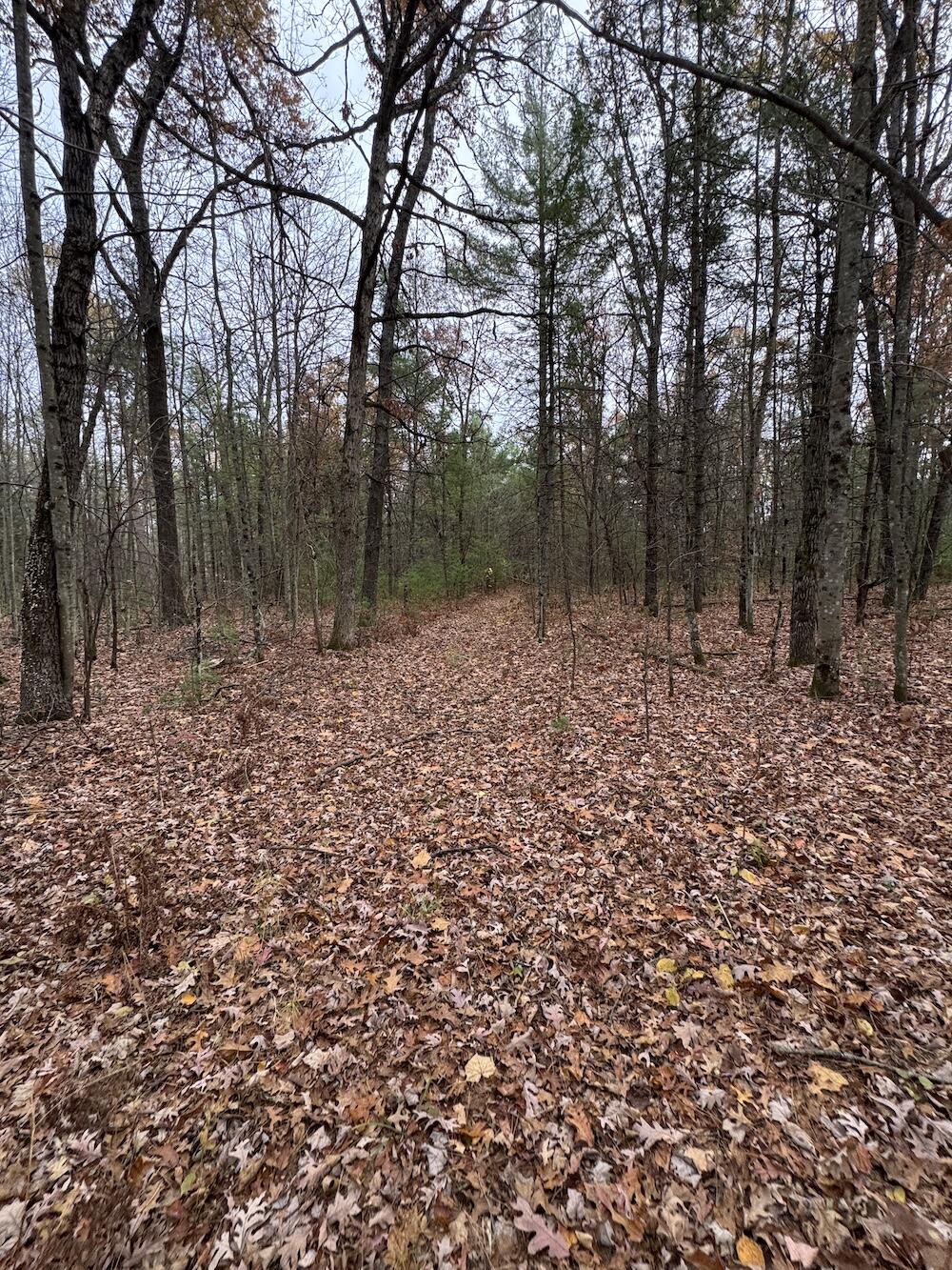 4335 Kings Corner Road Glennie, MI 48737 - Photo 25 of 78 IMG_7153