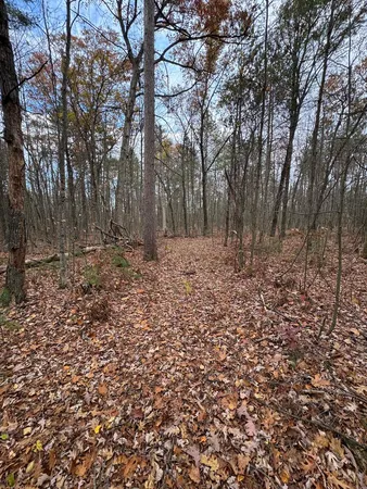 $399,000 | 4335 Kings Corner Road, Glennie, MI 48737