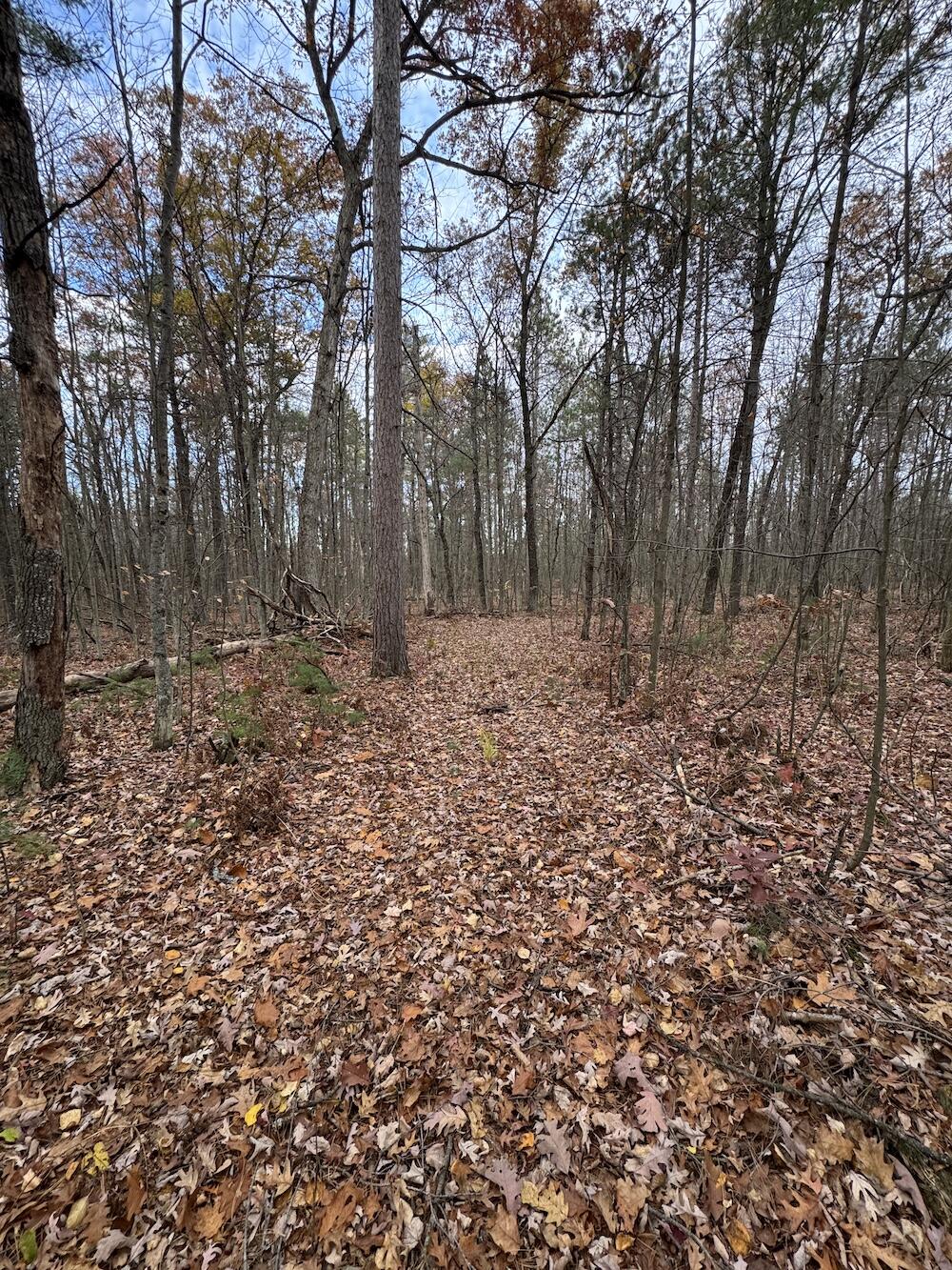 4335 Kings Corner Road Glennie, MI 48737 - Photo 28 of 78 IMG_7156