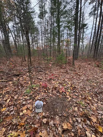 $399,000 | 4335 Kings Corner Road, Glennie, MI 48737