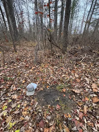 $399,000 | 4335 Kings Corner Road, Glennie, MI 48737