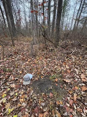 $399,000 | 4335 Kings Corner Road, Glennie, MI 48737