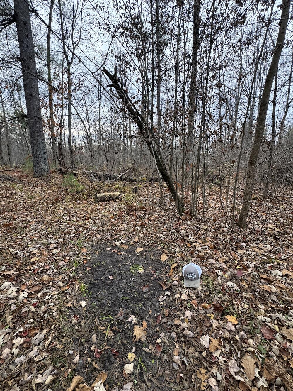 4335 Kings Corner Road Glennie, MI 48737 - Photo 32 of 78 IMG_7160